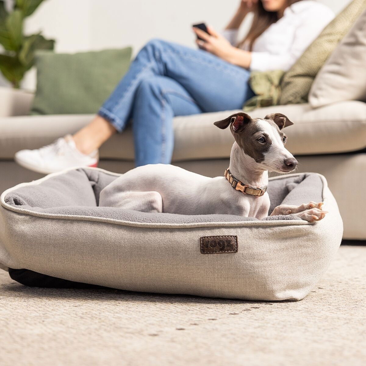 Rogz Urban collar, gold