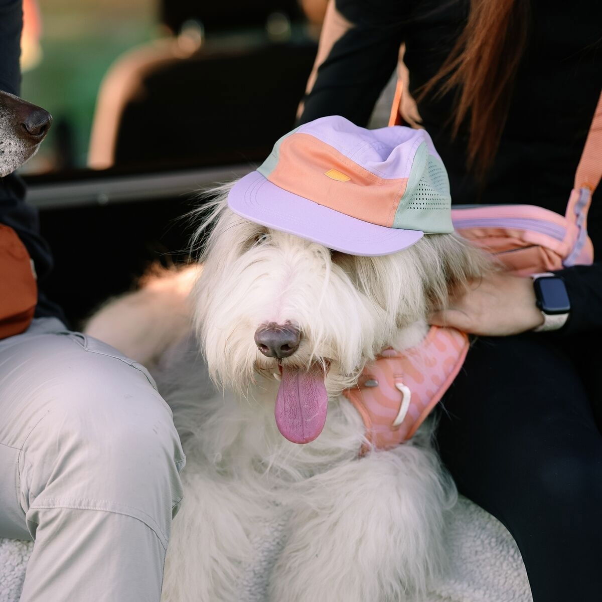 WW Alpha 360 Tech Cap, Lavender Mix