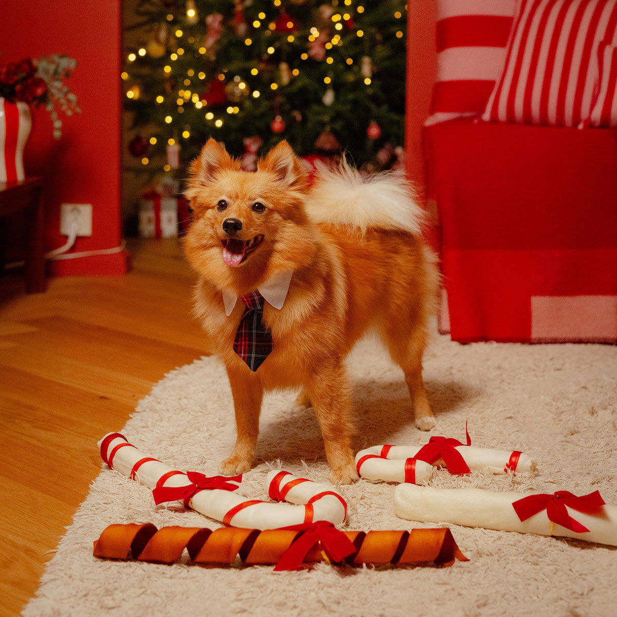 Little&Bigger Necktie with collar
