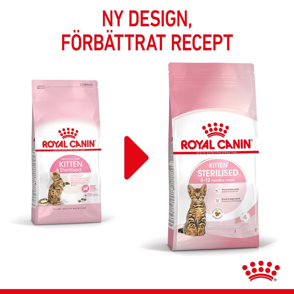 Royal Canin Kitten Sterilised torrfoder för kattunge