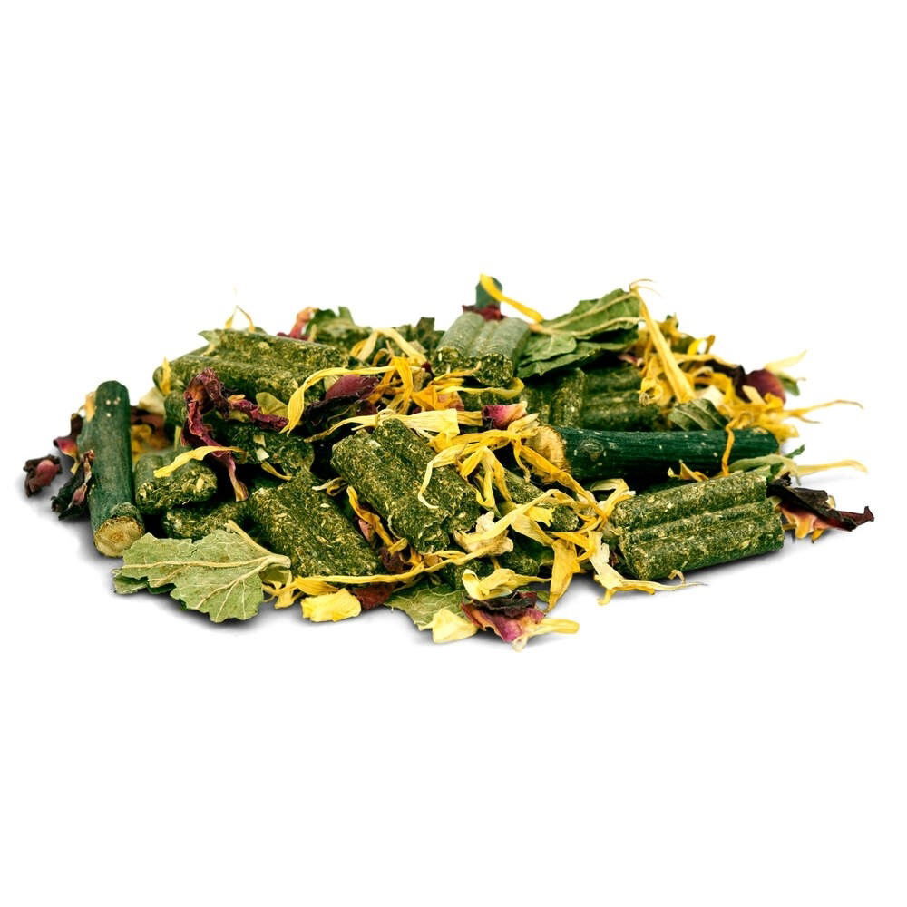 Bunny ChinchillaDream Basic