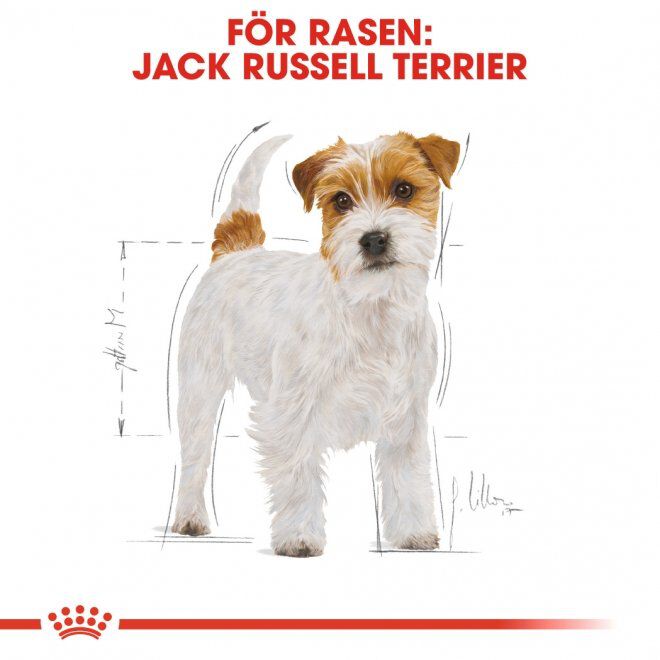 Royal Canin Jack Russel Adult torrfoder för hund