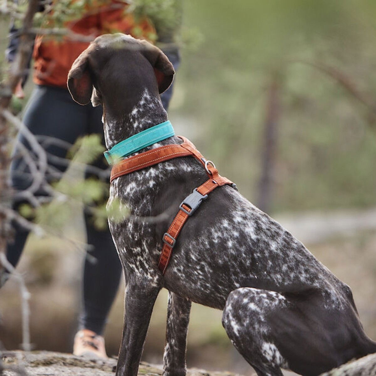 Hurtta Casual Y-harness ECO cinnamon