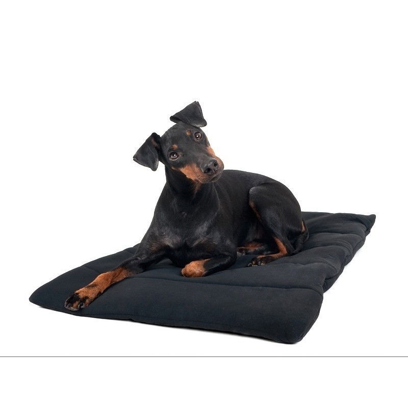 Back on Track Hundfilt, Svart