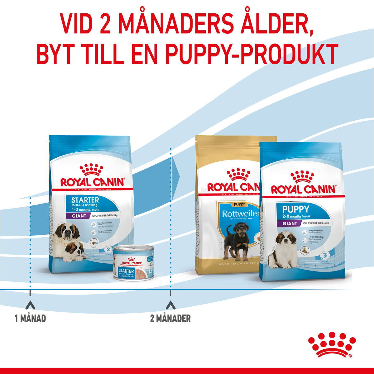 Royal Canin Giant Starter Mother & Babydog