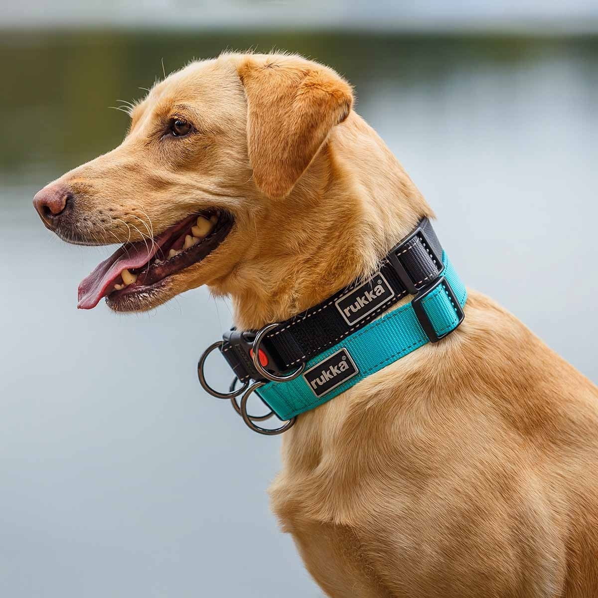 Bliss Polar Halsband Nylon Svart