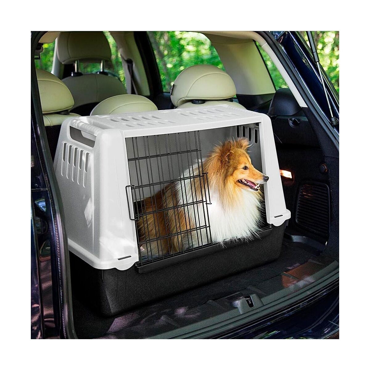 Transportbur bil Atlas