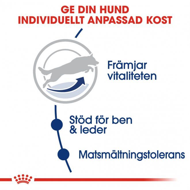 Royal Canin Maxi Adult 5+ torrfoder för hund