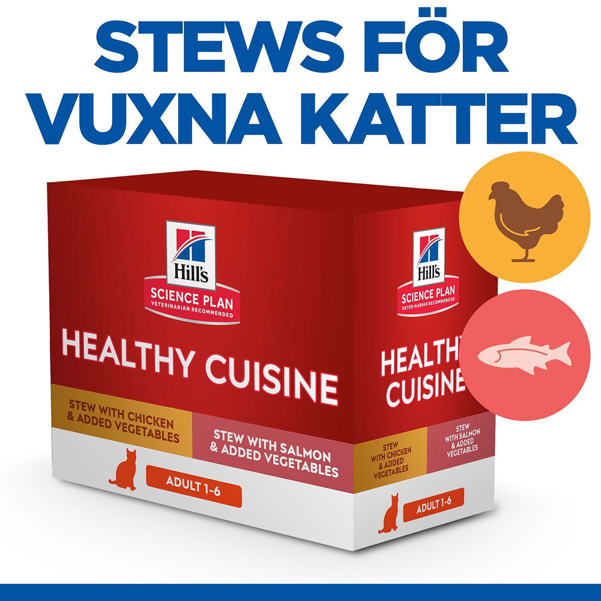 Hill's SP Cat Adult Healthy Cuisine Stews Ch/Sa 12x80g