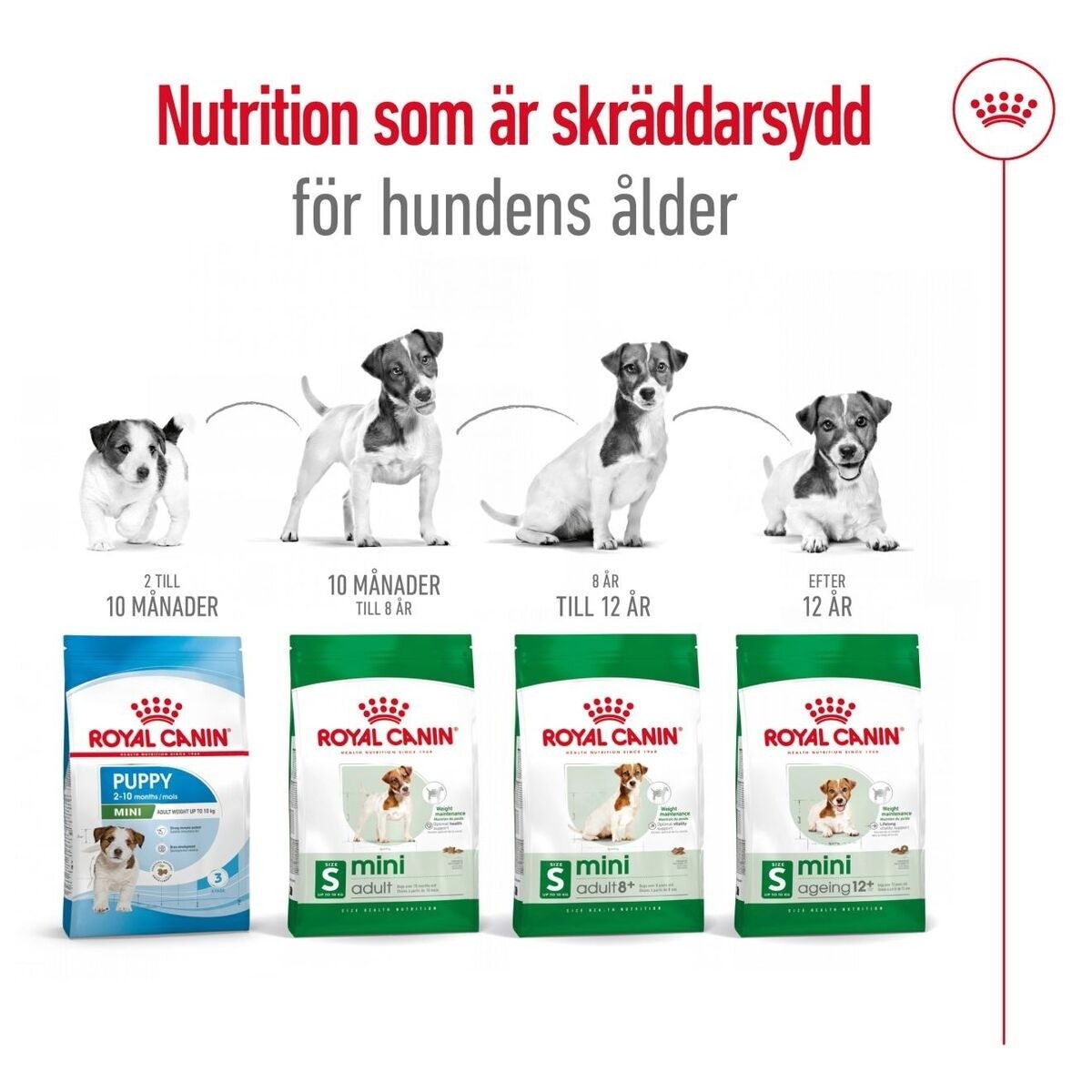 Royal Canin Mini Adult torrfoder för hund