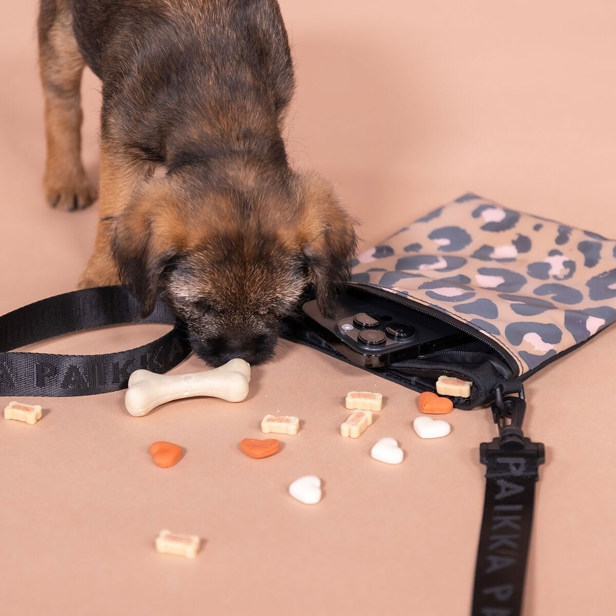 PAIKKA Visibility Treat Pouch, leo