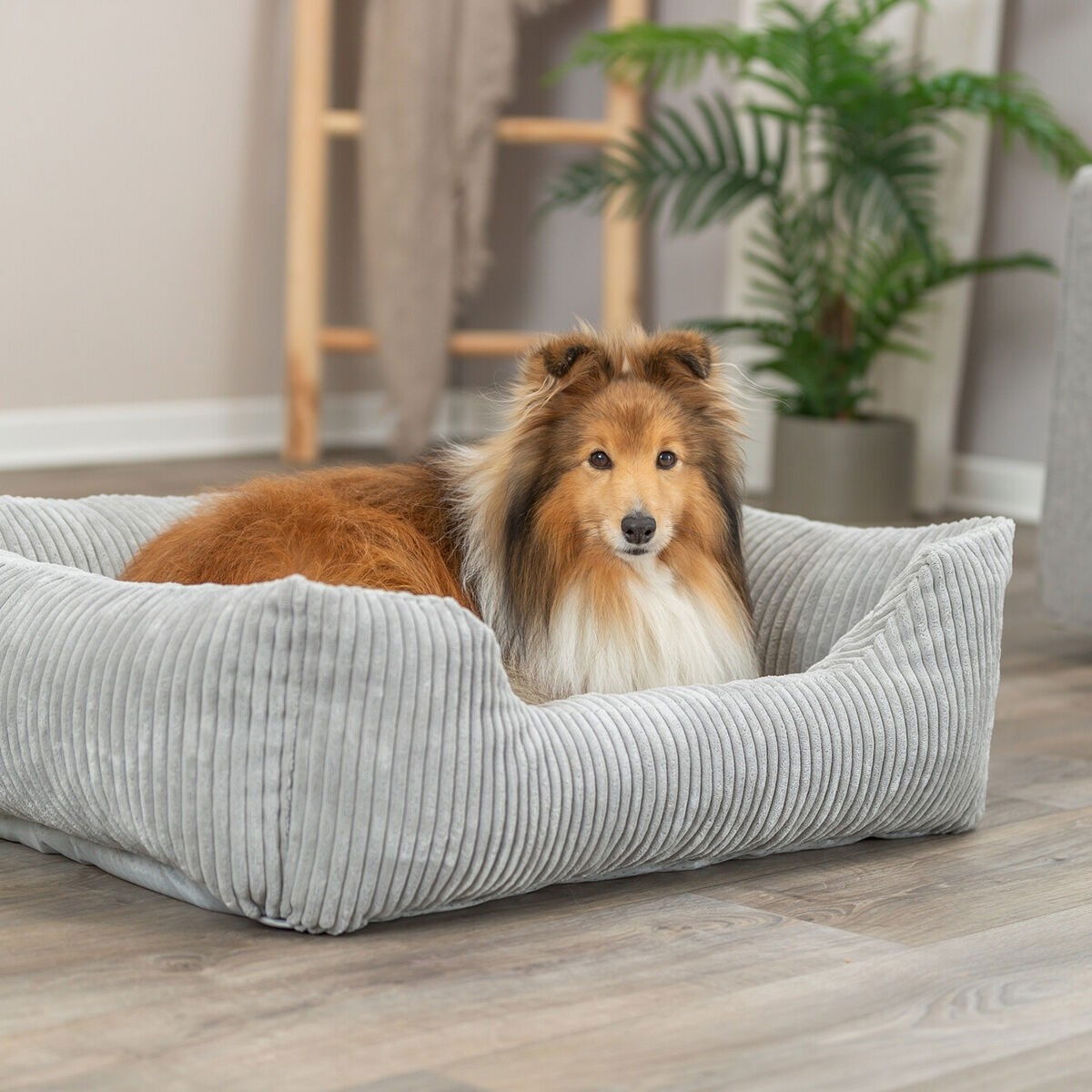 Trixie Jonna vital bed, corduroy plush, 60 × 50 cm, grey