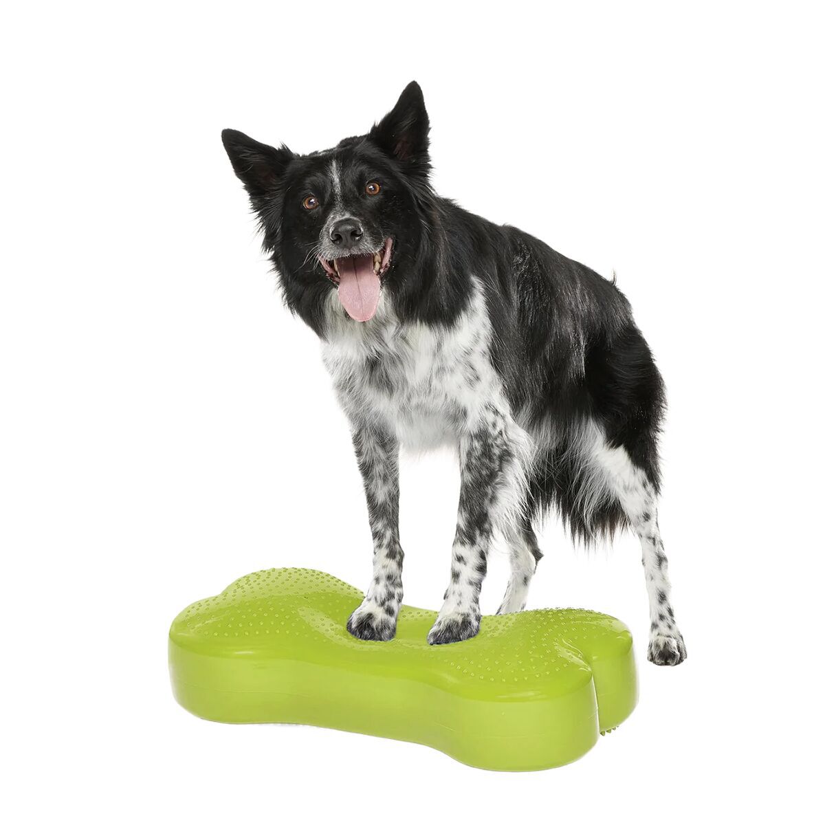FitPaws K9FitBone