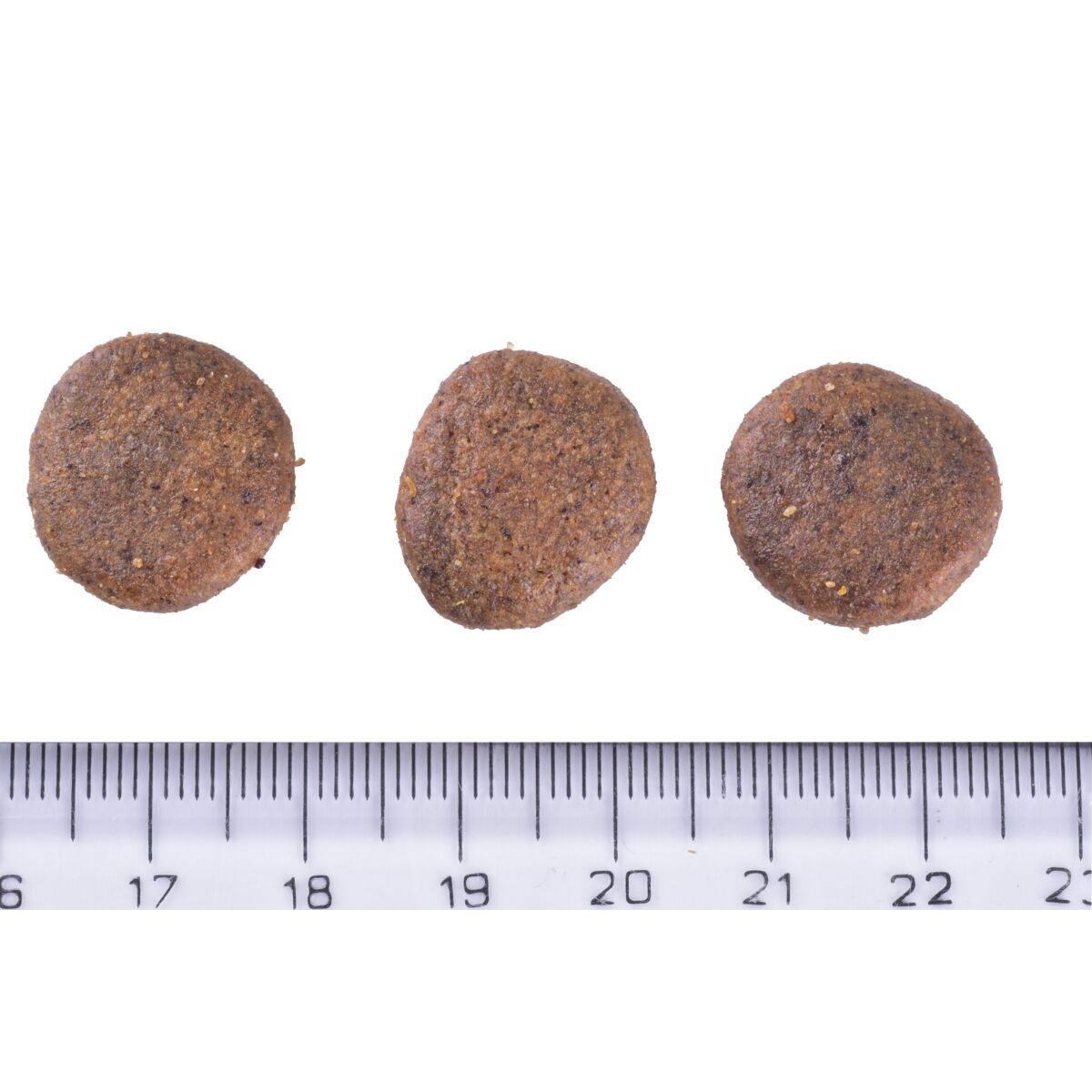 Brit Care Dog Grain-free Senior & Light