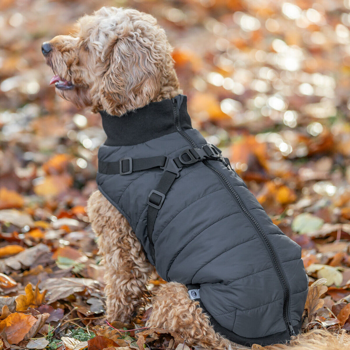 Trixie Pontis Vintertäcke för Hund med Sele Blå