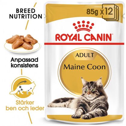 Royal Canin Maine Coon Wet 12x85g