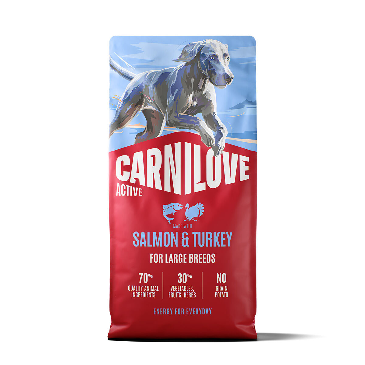 Salmon & Turkey Adult Large Breed Torrfoder för Hundar - 12 kg