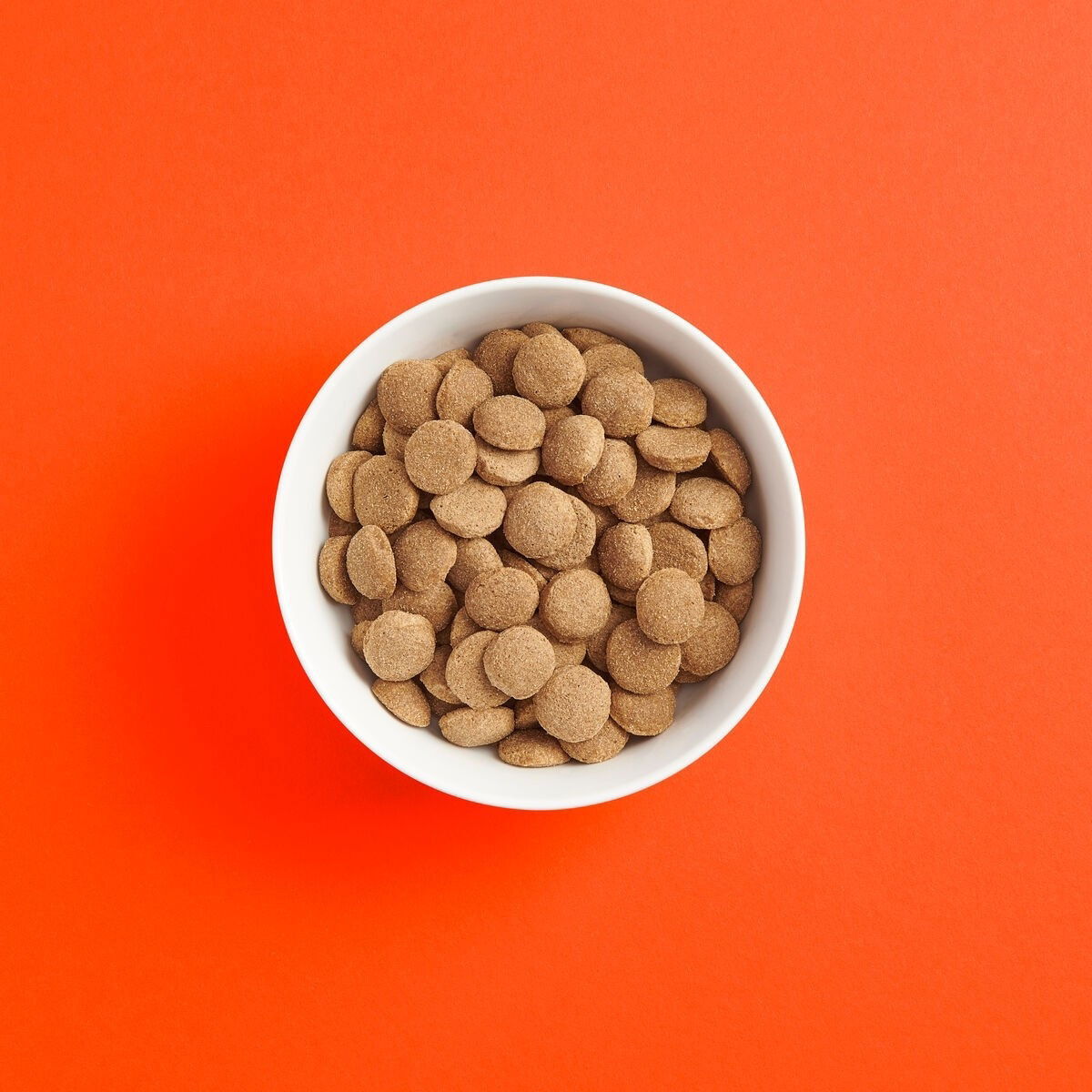 SMAAK Dog Adult Large Breed