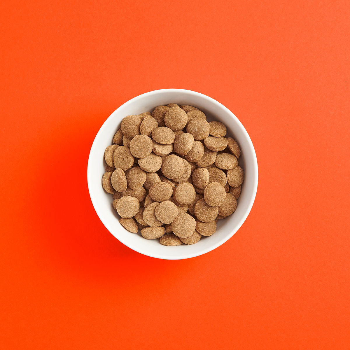 SMAAK Dog Adult Large Breed