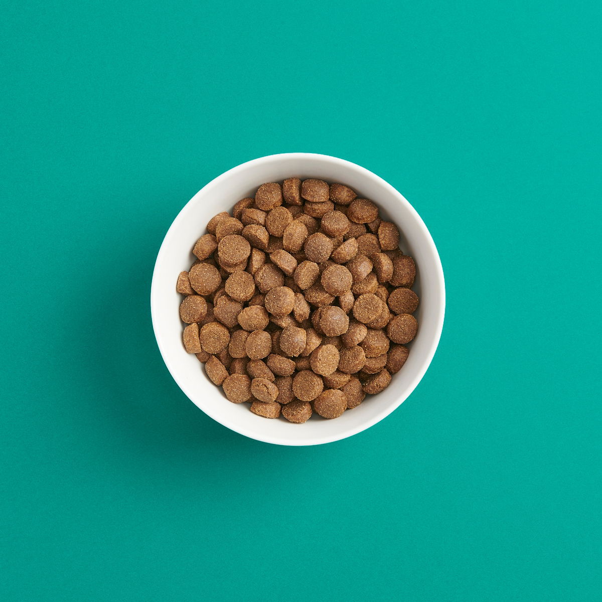 Smaak Dog Dry Active