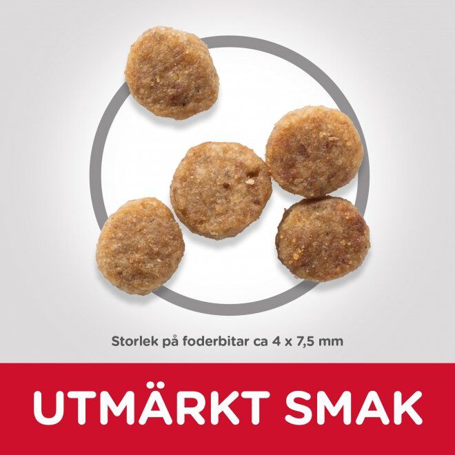 Hill's Science Plan Dog Senior Small & Mini