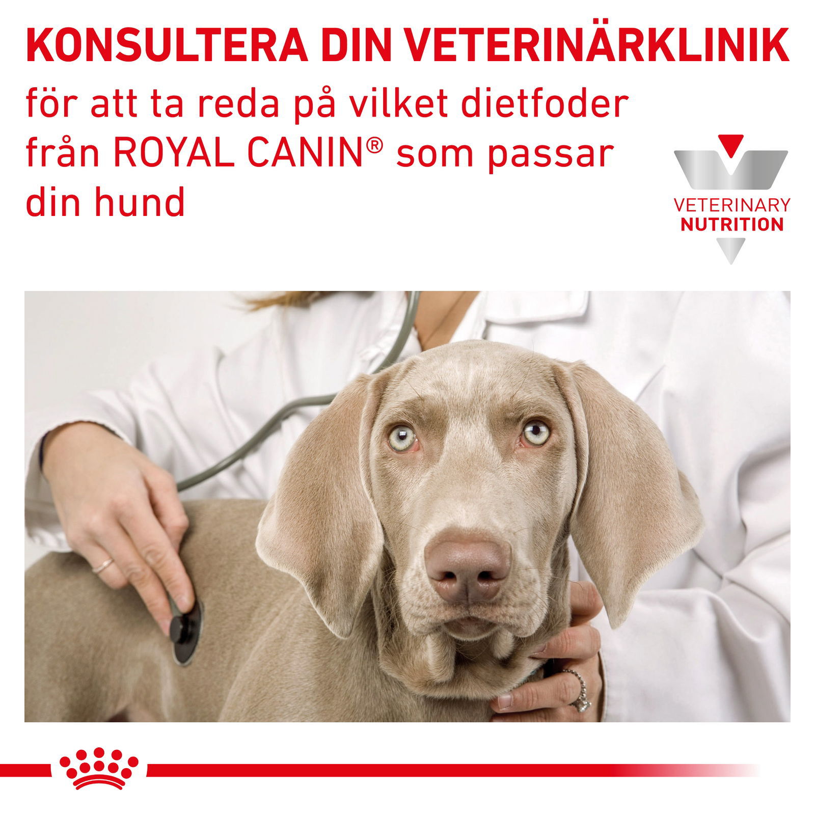 Royal Canin Veterinary Diets Gastrointestinal Puppy Mousse Can våtfoder för hund