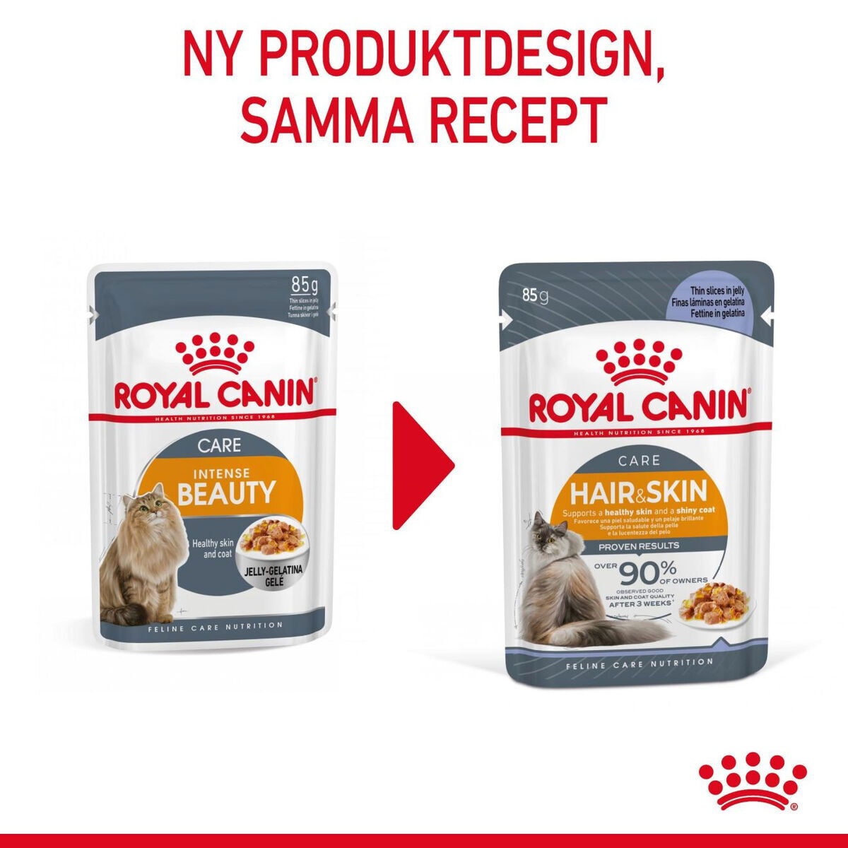 Royal Canin Hair & Skin Care Jelly Adult våtfoder för katt