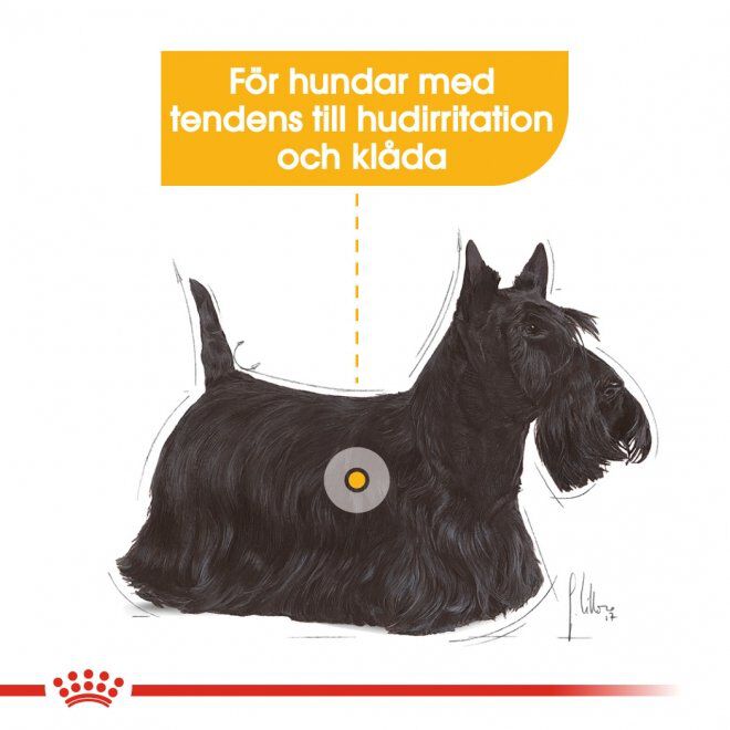 Royal Canin Dermacomfort Adult Loaf våtfoder för hund
