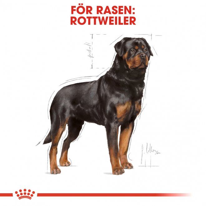 Royal Canin Rottweiler Adult torrfoder för hund