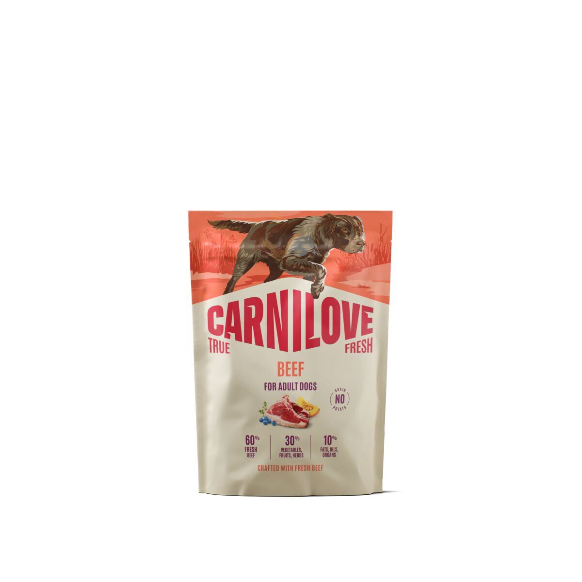 CARNILOVE TRUE FRESH dog dry beef for adult all breeds
