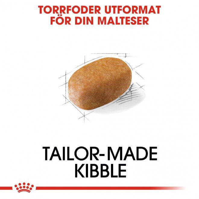 Royal Canin Breed Maltese Adult