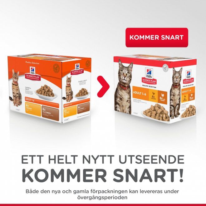 Hill's Science Plan Cat Chicken & Turkey 12x85 g