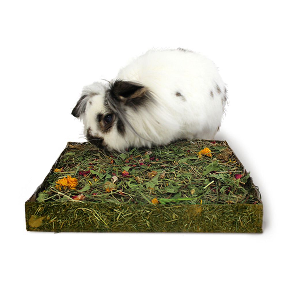 Rosewood Nibble'n'Dig  Medow 