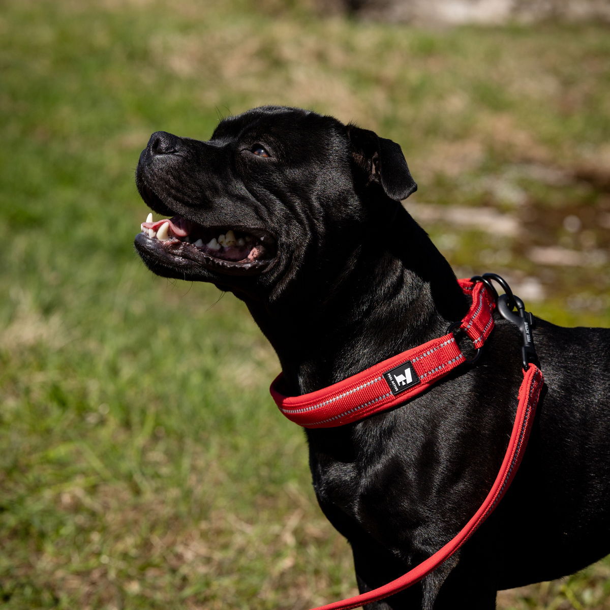 Feel Active Padded Slip col. Fiery Red