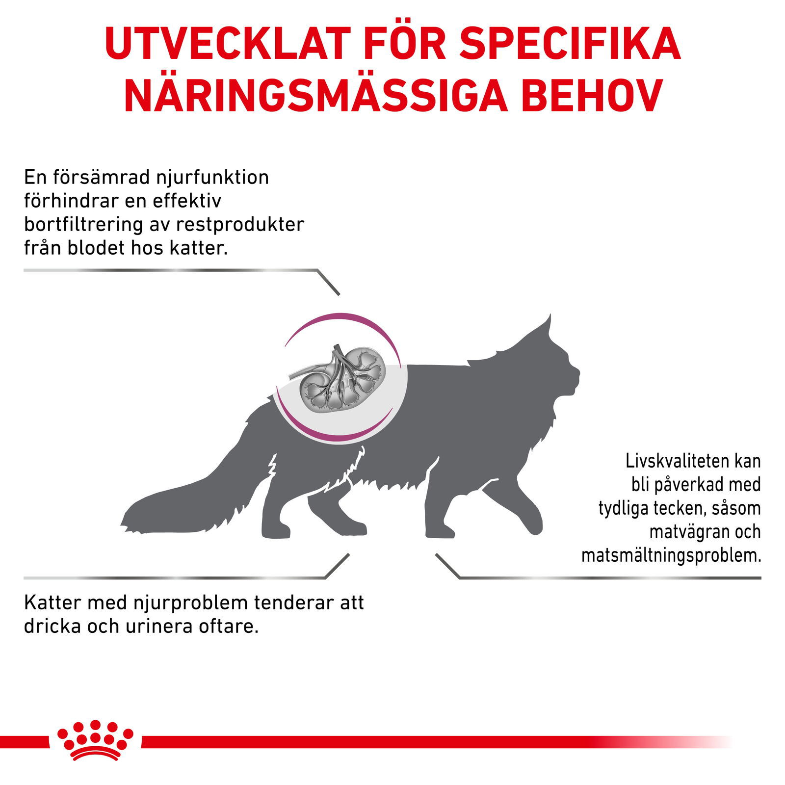 Royal Canin Veterinary Diets Renal Select torrfoder för katt