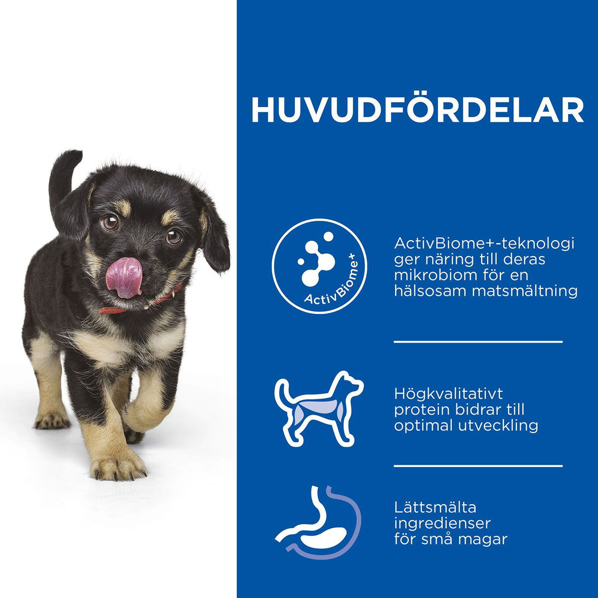 Hill's SP Puppy Perfect Digestion M Ch