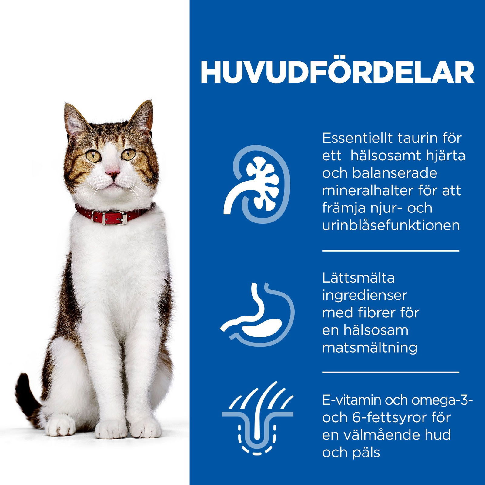 Hill's Science Plan Cat Mature 7+ Chicken