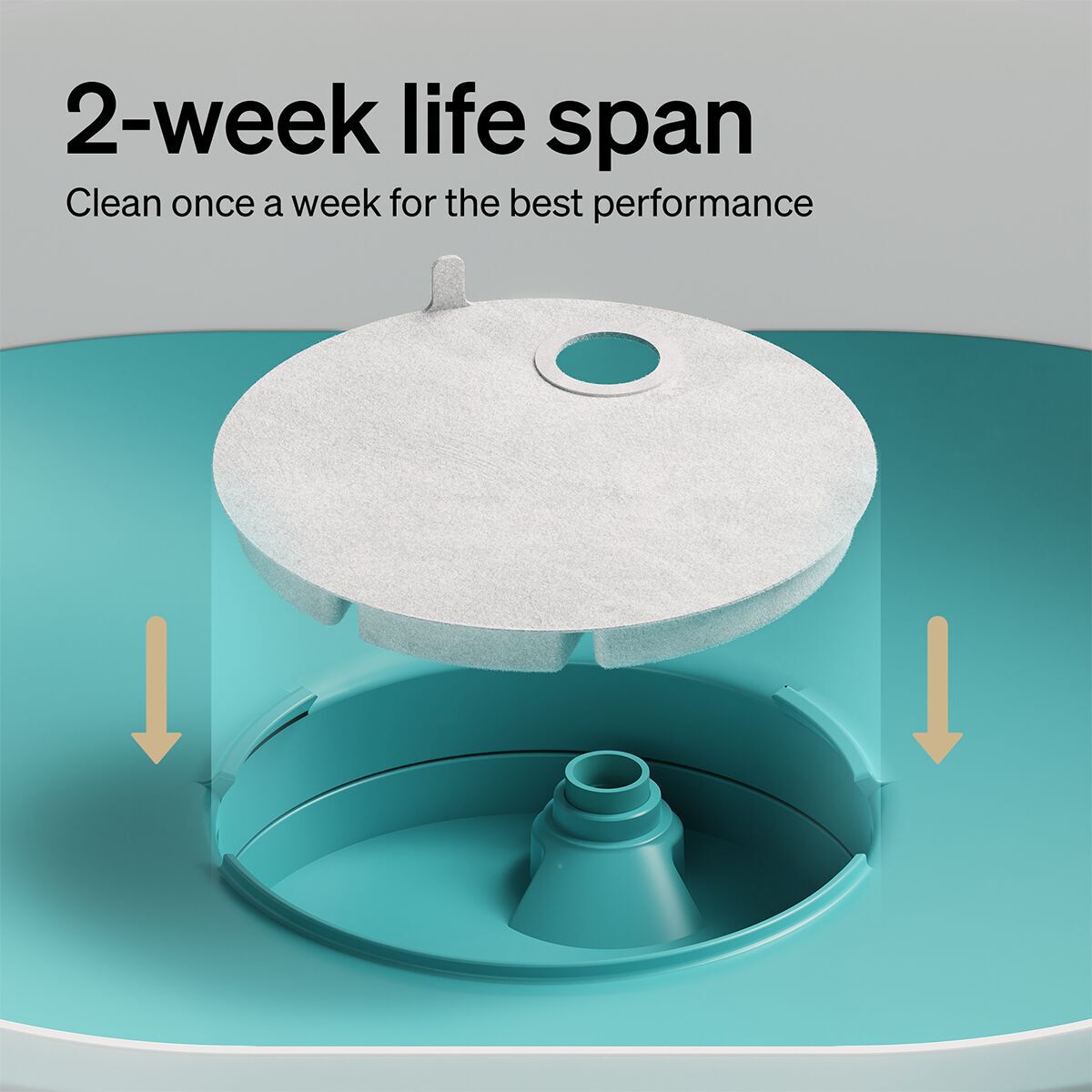 Petlibro Filters For Capsule Dog Water Fountain