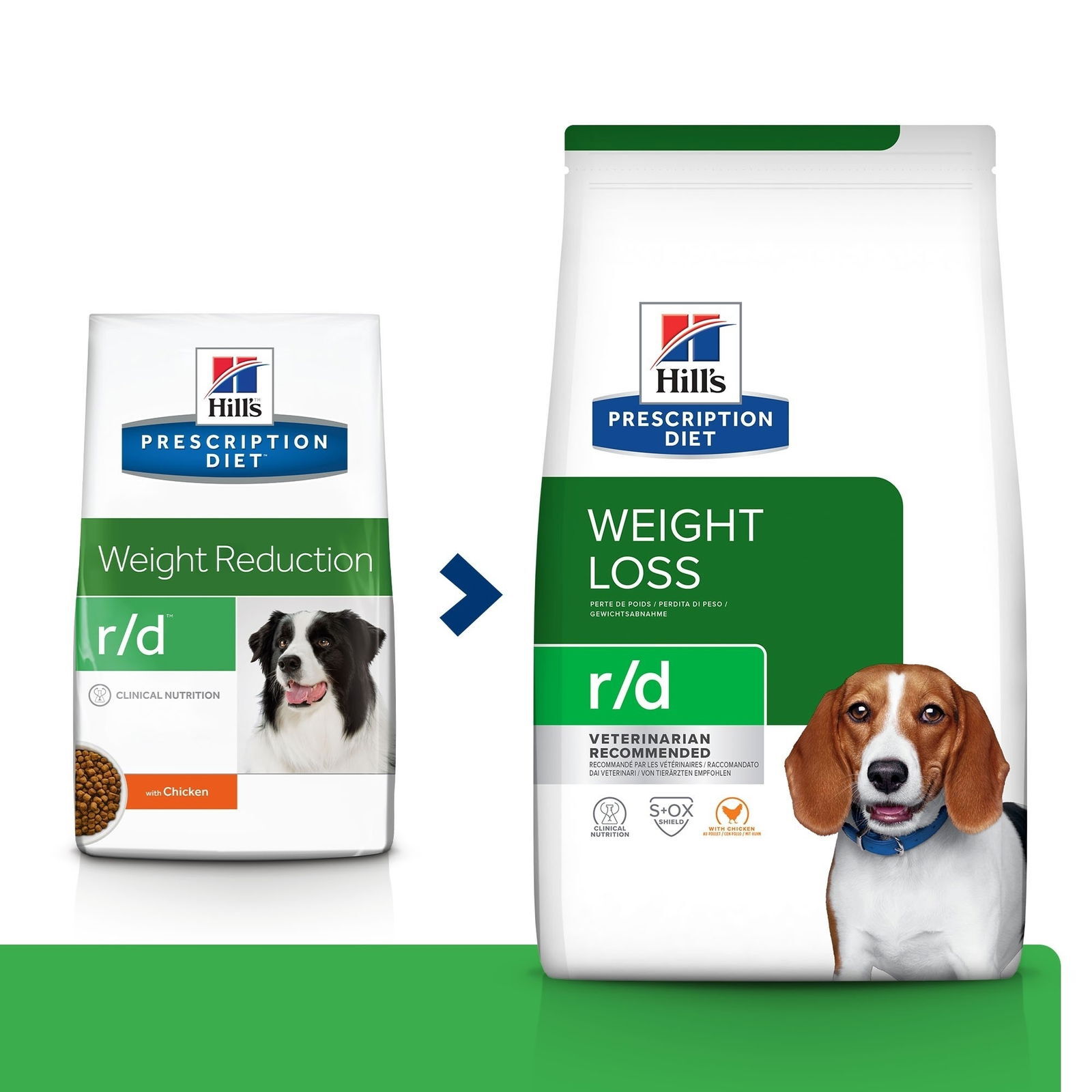 Hills Diet Dog r/d