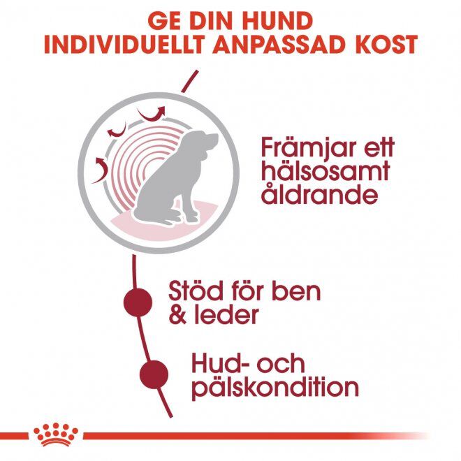 Royal Canin Medium Ageing Gravy våtfoder för hund