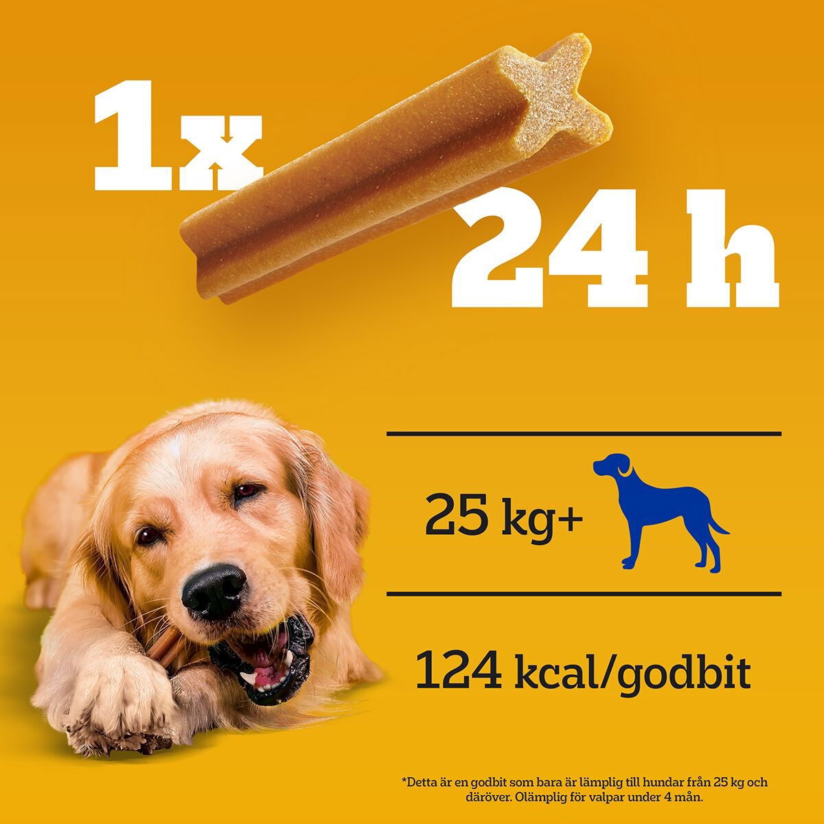Pedigree Dentastix L 4-pack