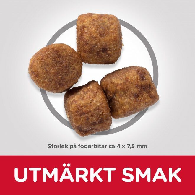 Hill's Science Plan Dog Healthy Small & Mini