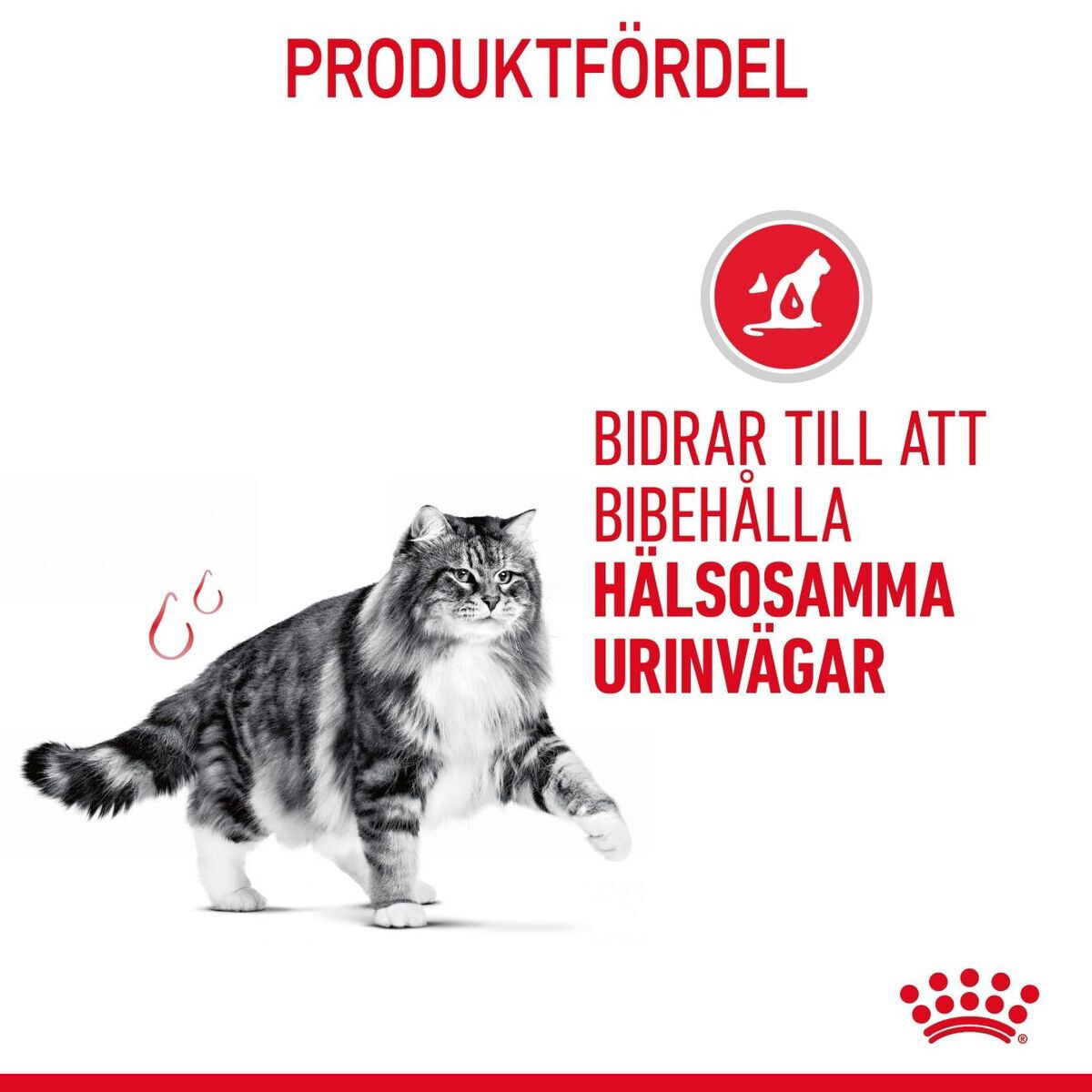 Royal Canin Urinary Care Gravy Adult våtfoder för katt