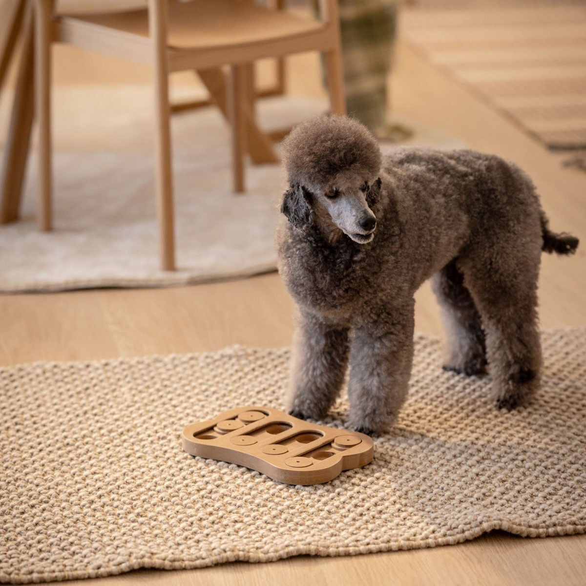 Aktivitetspel Shuffle Bone