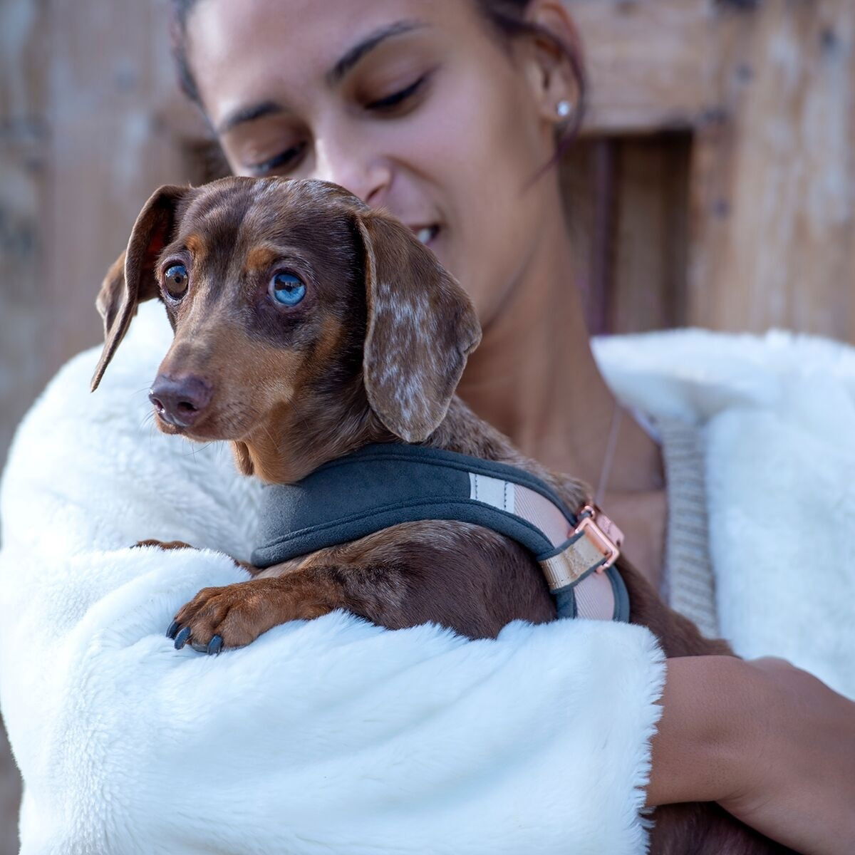 Rogz Urban Fast-Fit harness, gold