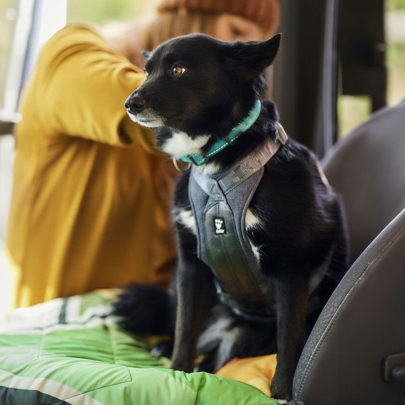 Hurtta Travel Harness ECO blackberry