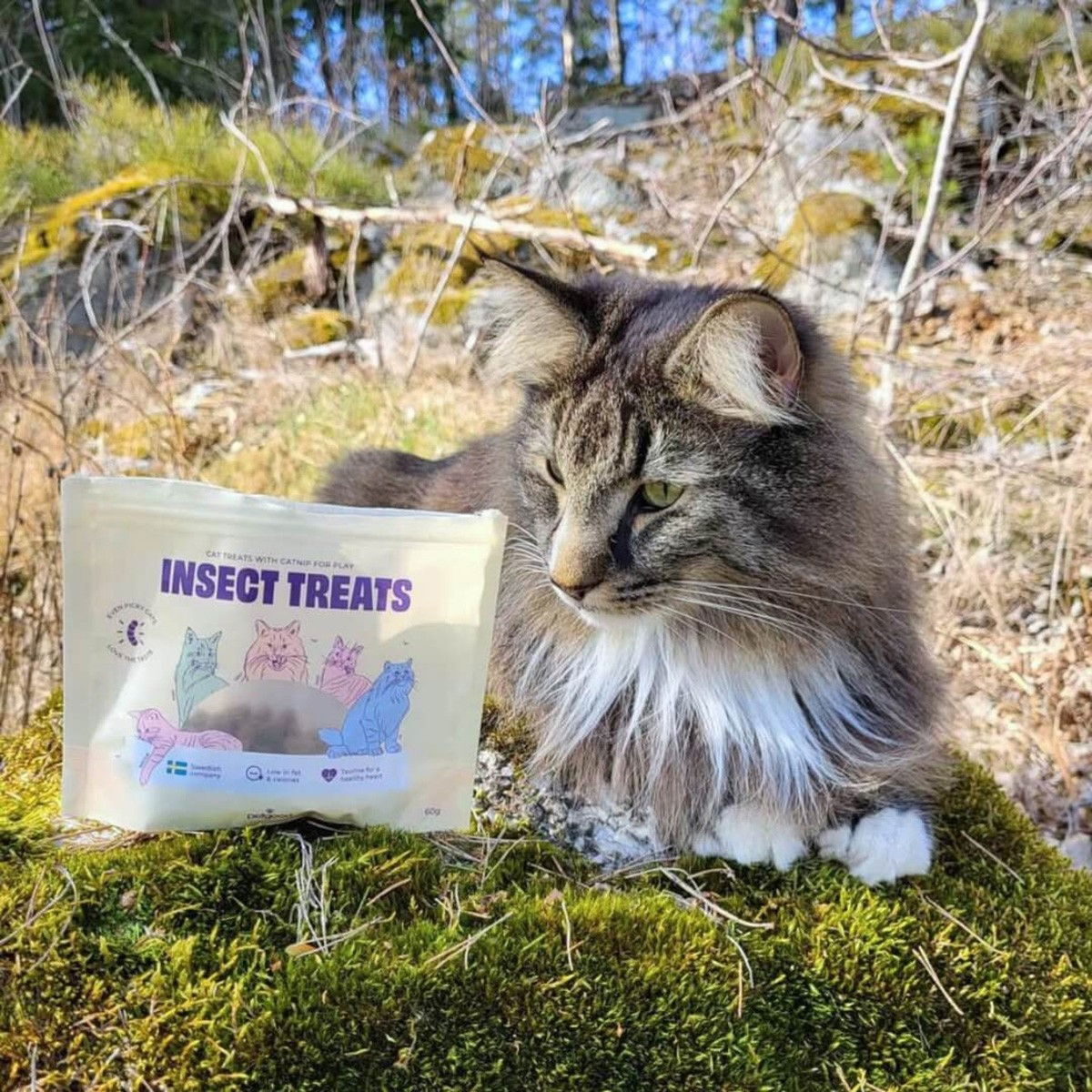 Petgood insect cat treats 60g