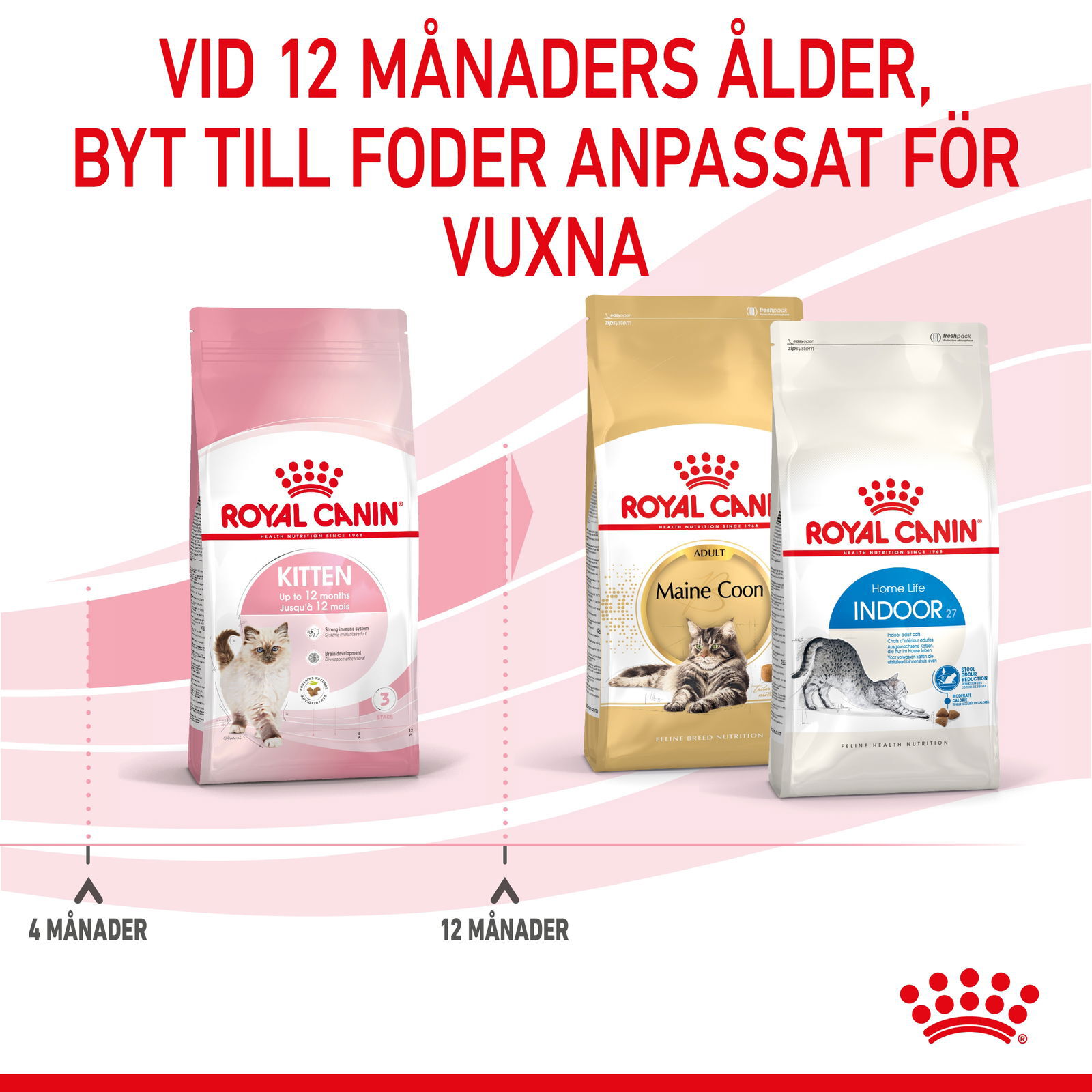Royal Canin Kitten torrfoder för kattunge