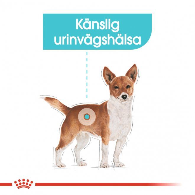 Royal Canin Urinary Care Adult Loaf våtfoder för hund