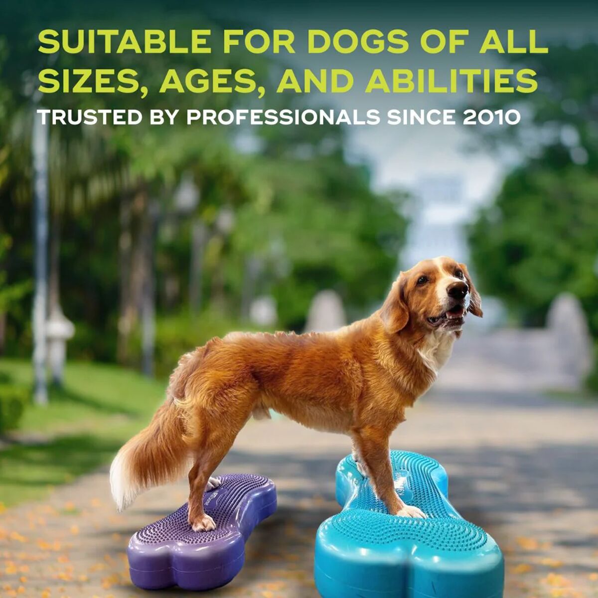 FitPaws K9FitBone